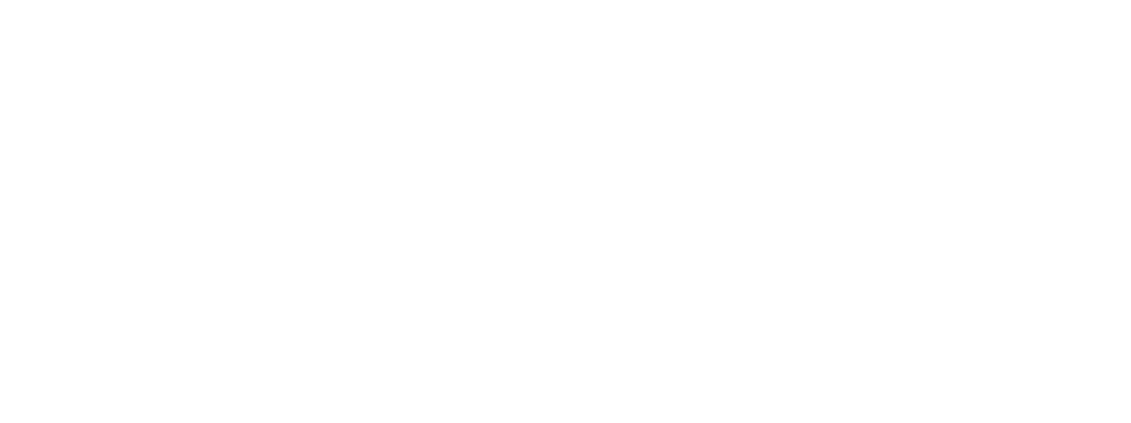 The Website Company